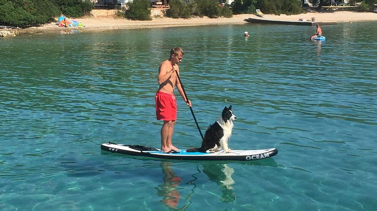 Fressnapf Sommer Hund 2 .JPG