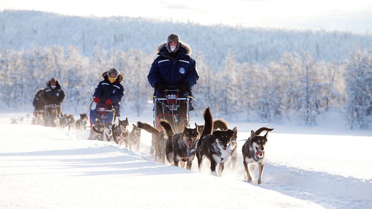 Nytt projekt ska lyfta Västerbottens besöksnäring