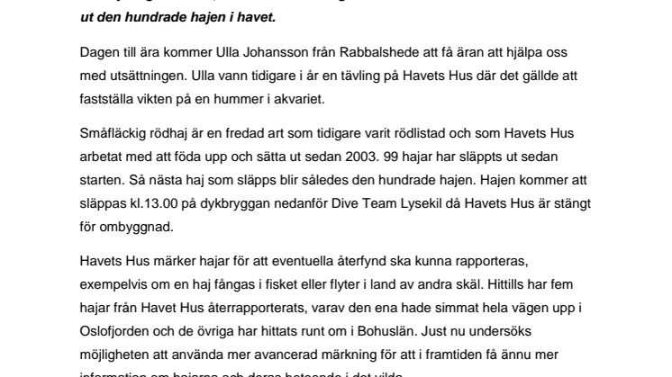 Havets Hus släpper ut den hundrade hajen fredagen den 9 november