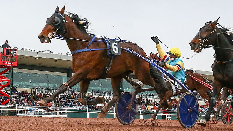 Franske Etonnant segrade i Grand Critérium de Vitesse med Anthony Barrier i sulkyn. Foto: Gerard Forni