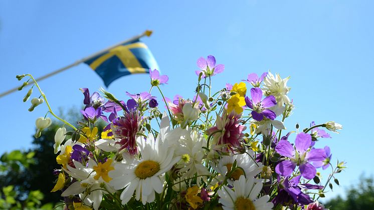 Midsommaröverraskning på torget