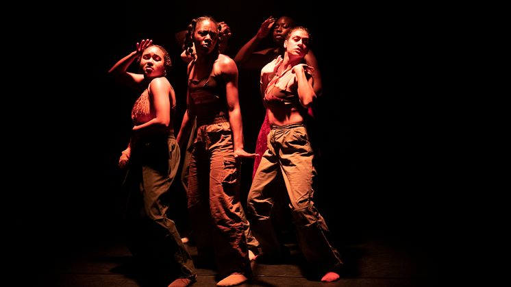 Company Nicolas Huchard - The barefoot diva