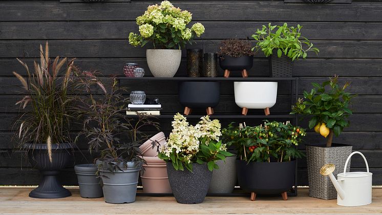 Rusta_S2_2023_Pots-1