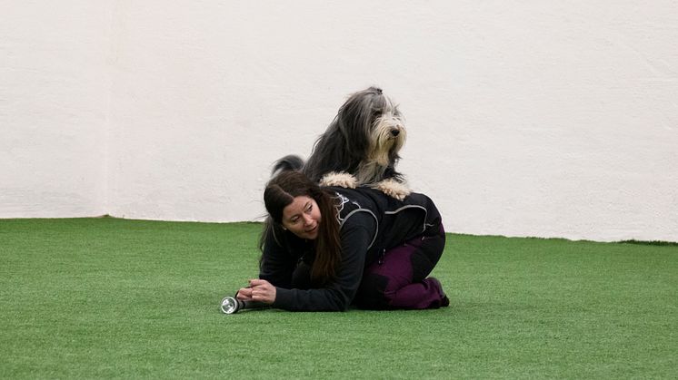 Lindas hunderi och hundhall
