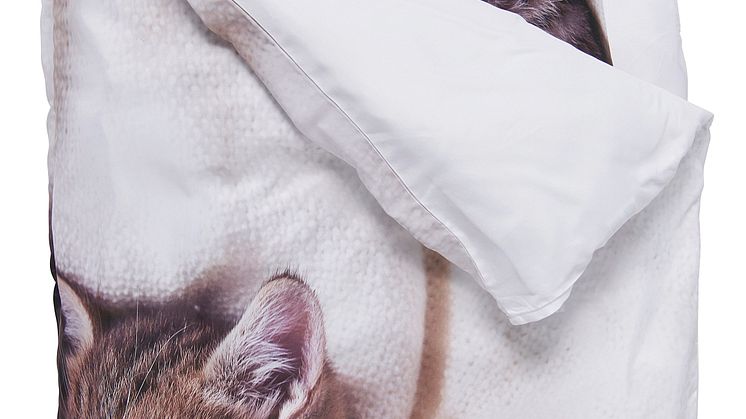NYHET! Bed set Cat 150x200  cm Polyester 14,90 EUR.jpg