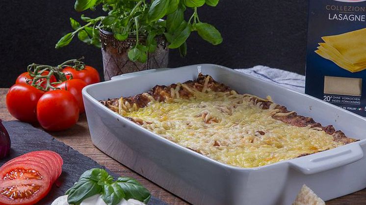 lasagneform-si (1)