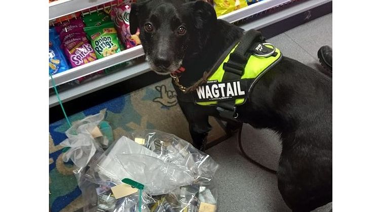 Illicit tobacco sniffed out in Bury