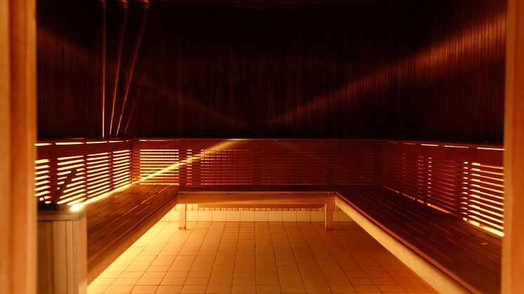 Clarion Hotel Sign - Selma City Spa - Sauna