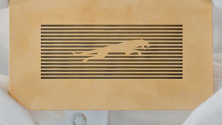 JAGUAR_MAKERS_MARK_LEAPER_PORTRAIT_191124.jpg