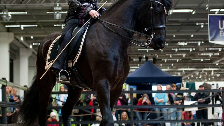 EuroHorse 2013