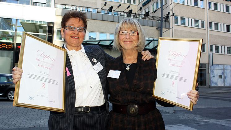 BROs utmärkelse 2010 till Aina Johnsson och Maud Svensson