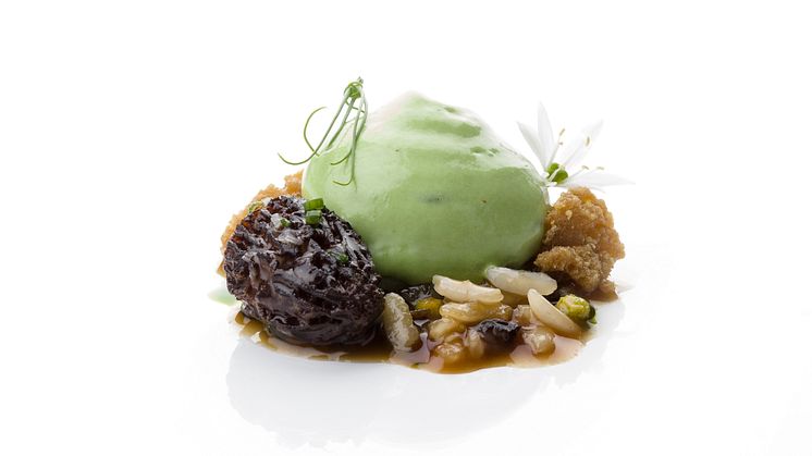 Bocuse-d'Or_2018_Garnityr_SG_SantAndrea-Rice-Ragu