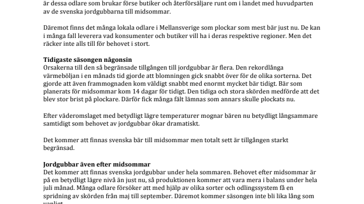 Starkt begränsad mängd svenska jordgubbar till midsommar