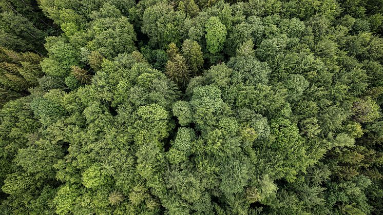 Canons starka engagemang för hållbarhet uppmärksammas i Quocircas Sustainability Leaders’ Report