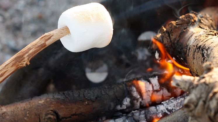 Grillade marshmallows i Stadsparken på måndag