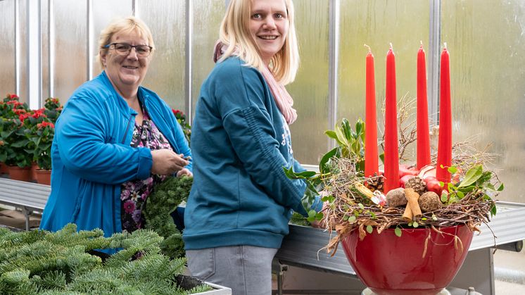 Kranz um Kranz binden Stefanie Schrimpf (rechts) und Sabine Schäfer in diesen Tagen. Gemeinsam mit ihren Kollegen bereiten sie die Adventsausstellung in der Hephata-Gärtnerei am Samstag, 23. November, vor. 