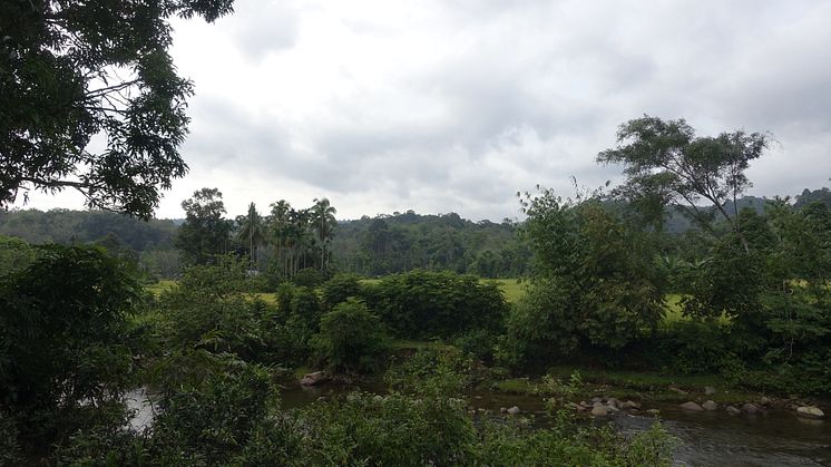 Bujang Raba, Sumatra Indonesien