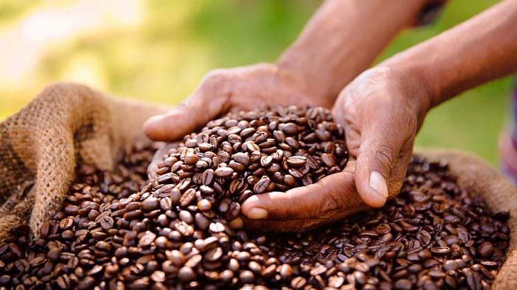 100 ton kaffe får ny förpackning