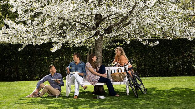Interim Report for Duni AB (publ) 1 January – 31 March 2016