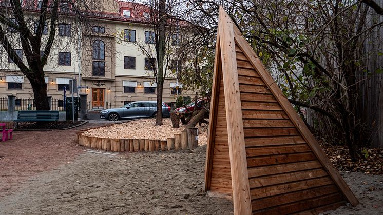 P1155650.jpg