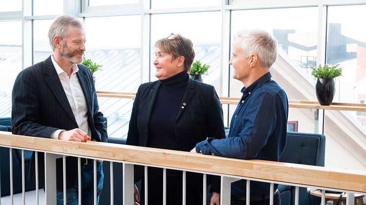 Unika innovationer gör skogsindustrin mer hållbar