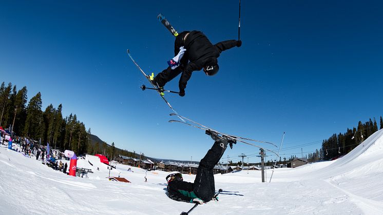 artikelbild-freeski