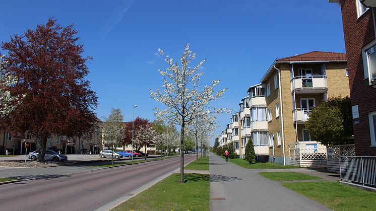 Ledig tjänst hos Finnvedsbostäder: Kvartersvärd