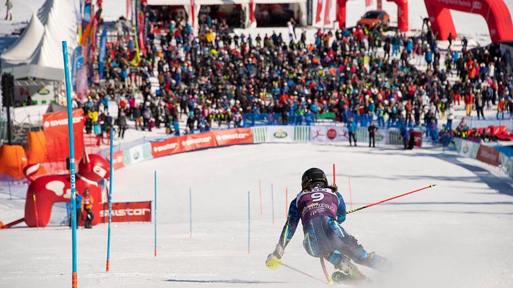 1 700 starter väntas ungdomarna göra under SkiStar Winter Games i Sälen 2024. 