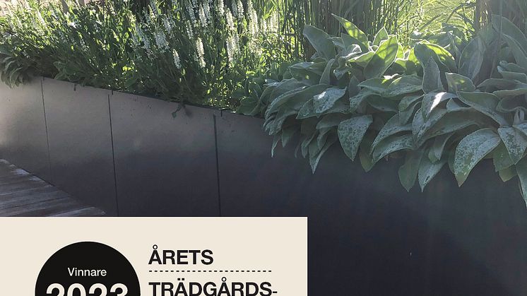 Bilder Årets trädgårdsprodukt 2023_28
