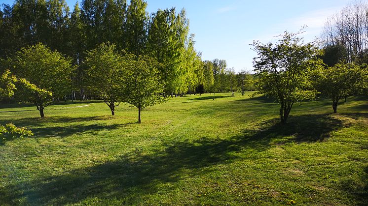 Bilfri grön oas i Tensta