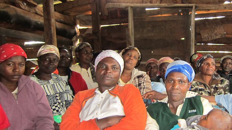 Mammaekvationen, Kenya