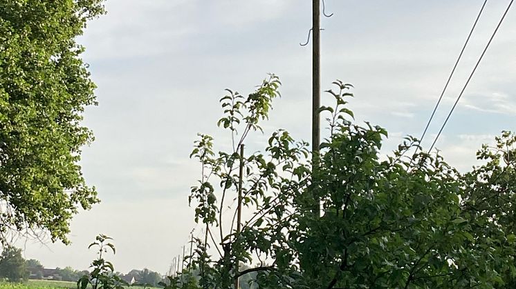 20230712_Störung 20kV