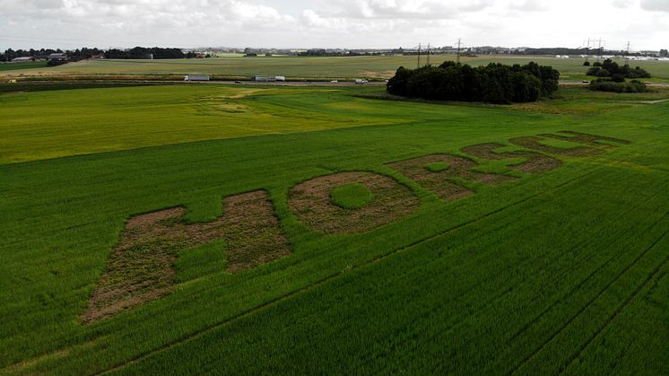 HORSCH ligger i framkant när det gäller precisionsodling. Foto: Swedish Agro Machinery