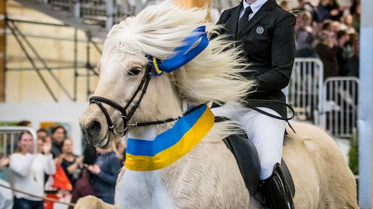 Vinnare i T1: Sys Pilegaard på Ljóska frá Borgareyrum.