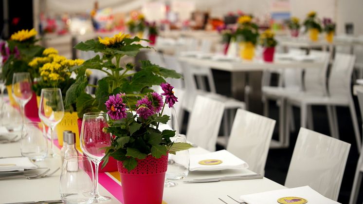 Benefiz-Veranstaltung: 3. Bärenherz Sommernacht bringt  19.000 Euro für Kinderhospiz (Impressionen)