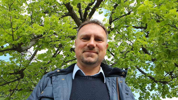 För Robert Andersson är skogen nödvändig och han går ut i den minst en gång i veckan. I sitt examensarbete konstaterar han att lövsprickningen sker allt tidigare på året. 