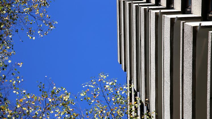 Kringsjå Studentby - perspektiv