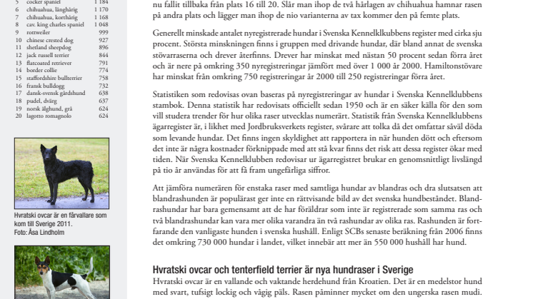 Schäfern fortsätter att tappa