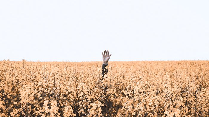 Foto:Unsplash - Daniel Jensen