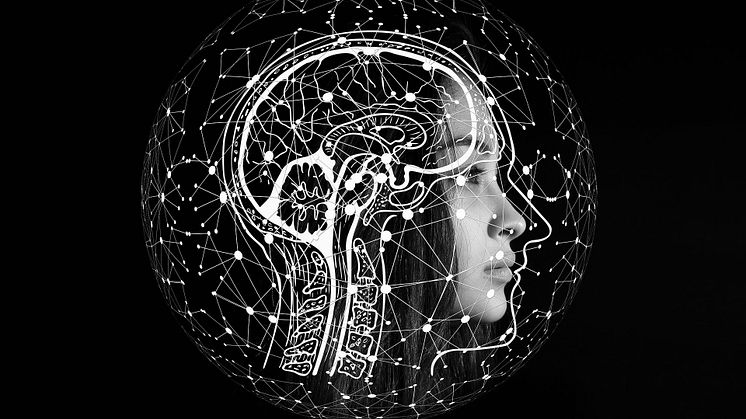 Hjärnan kan användas som guide för behandling av OCD enligt ny studie från Columbia University. Foto: Pixabay. CC0