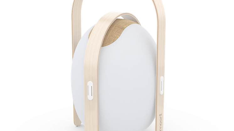 Trådlös högtalare och lampa, large - frilagd
