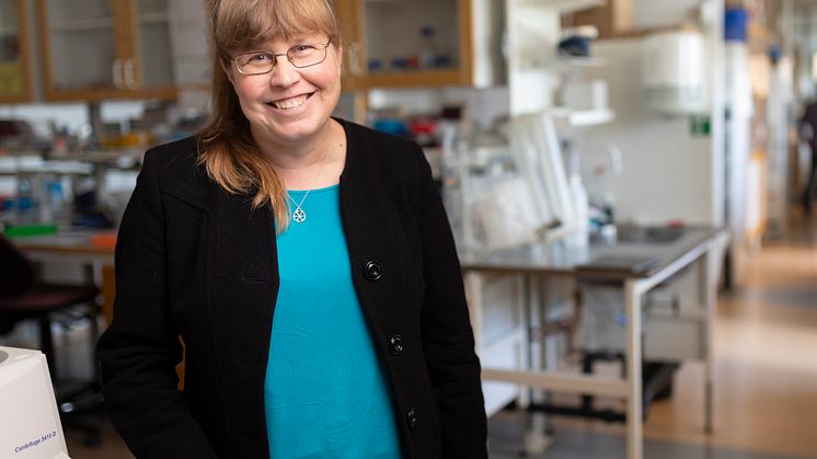 Professor Kerstin Lindblad-Toh, now publishing 11 articles in the journal Science about how the genomes of humans and other mammals have developed over the course of evolution. 