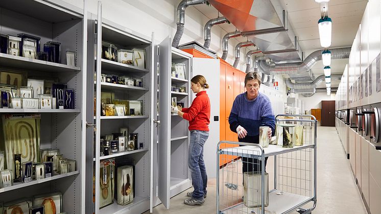 Våtmagasinet på Arkivcentrum Syd, Biologiska Museerna i Lund