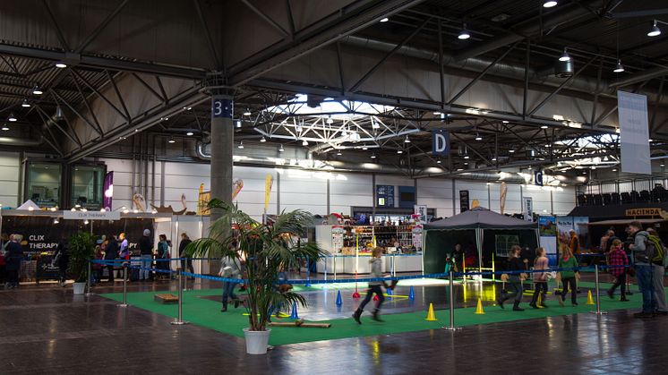 Partner Pferd 2024 - Hobby Horsing - Foto: Elli Flint
