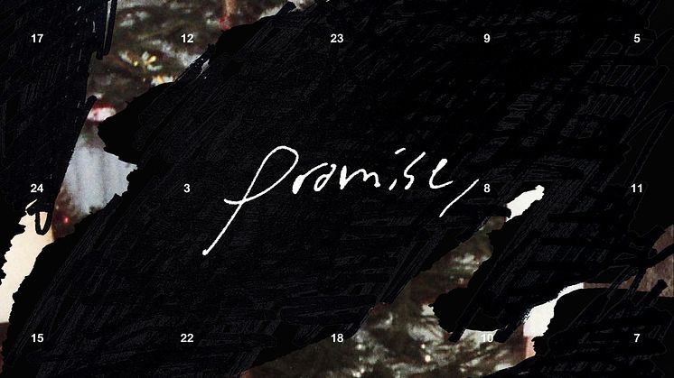 Fay Wildhagen_promise,_artwork