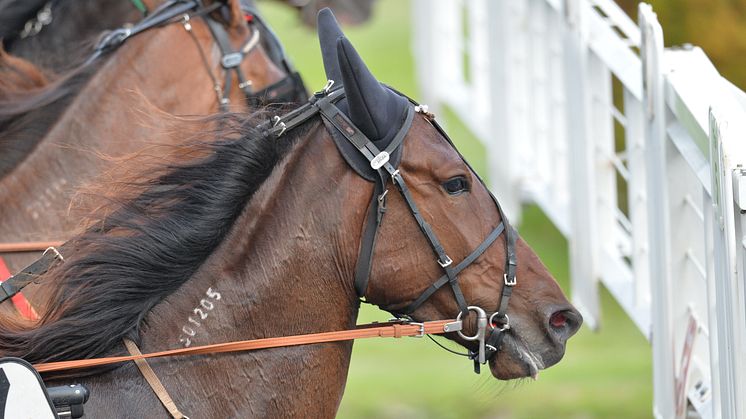 Nya distanser Elitloppshelgen