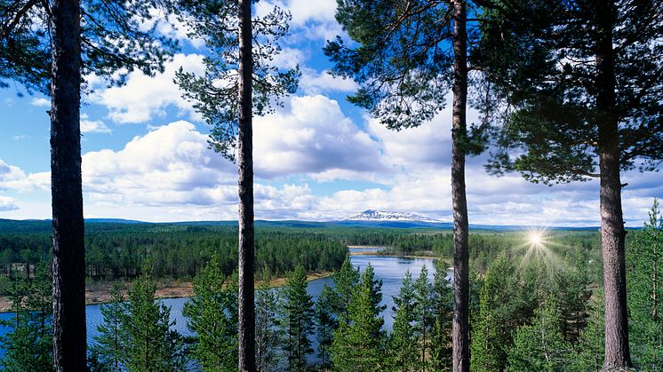 North Sweden Cleantech