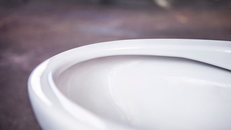Estetic - Hygienic Flush