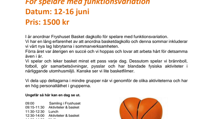 Fryshuset Basket Dagkollo 2017