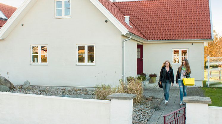 Trädgårdsmur 3